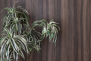 オフィスウォール